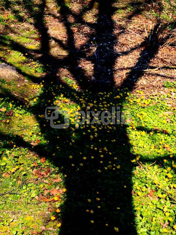 spiel mit licht und schatten