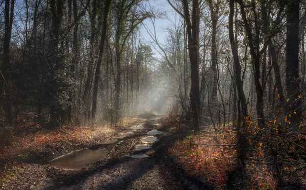 Einsamkeit und Stille