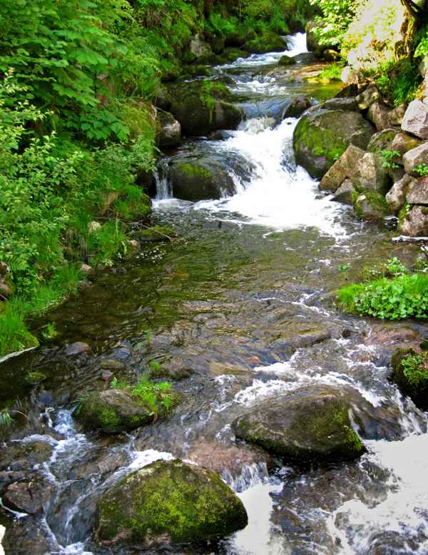 Triberger Wasserfall_1