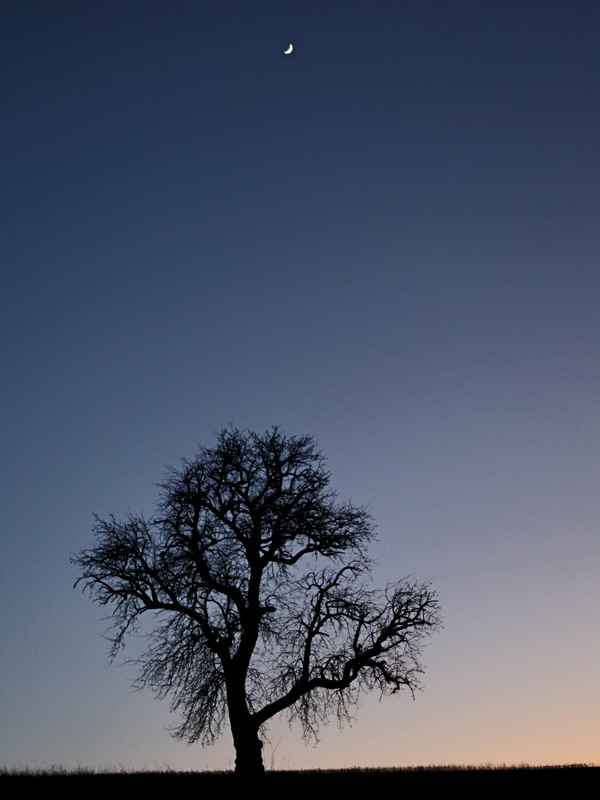 Zur Abendlichen Stunde