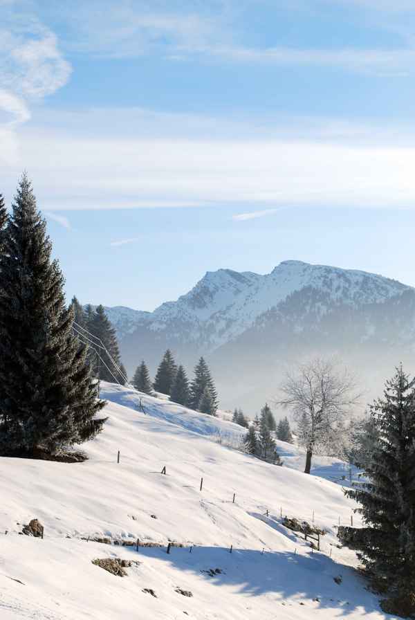 Steibis 4 - Wintersportparadies