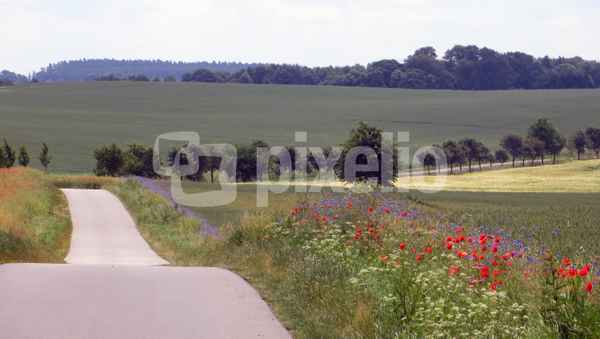 Der Weg 03