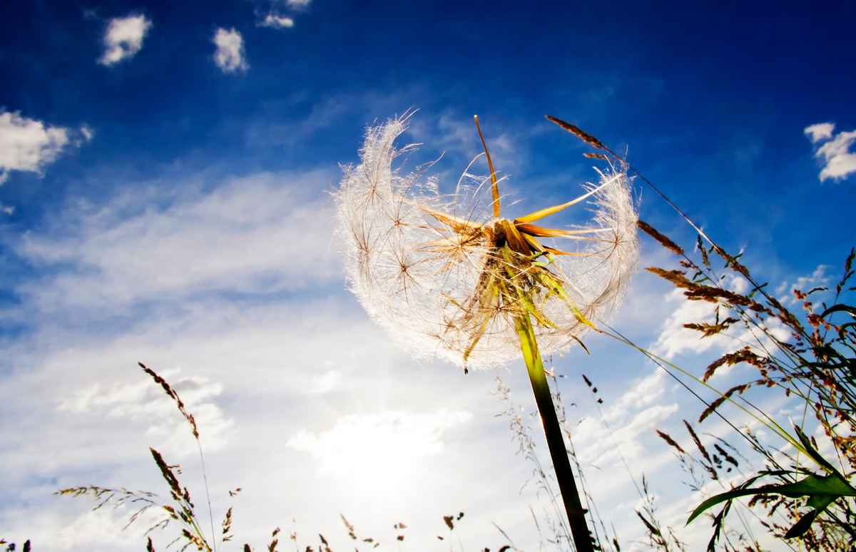 Sommer-feeling