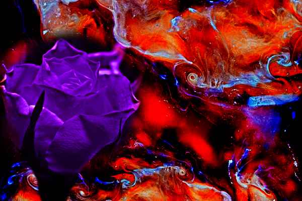 rose  auf abstrakten hintergrund