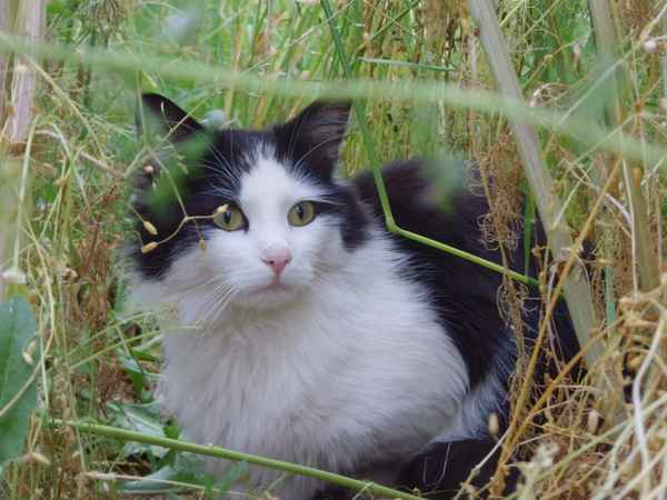 Ich dachte hier findet mich niemand...