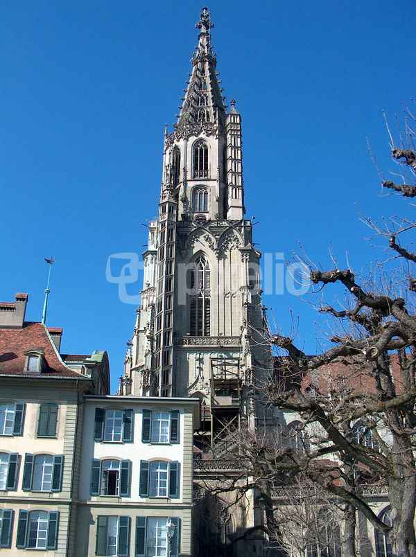 Münster  in Bern