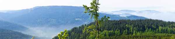 Schwarzwald-Panorama 1