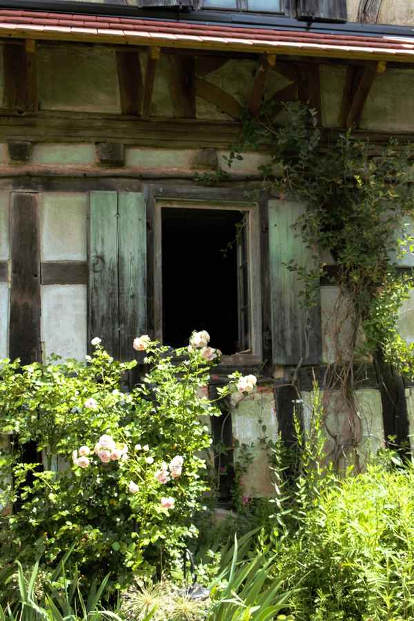 Das Fenster zum Hof