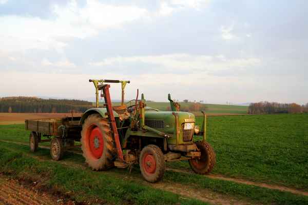 Fendt-Traktor in der Abendsonne