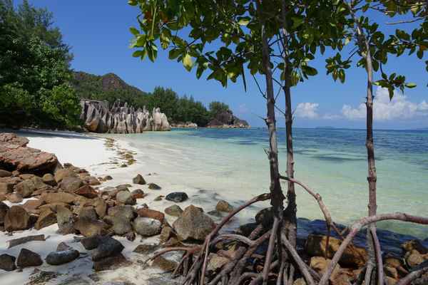 Traumstrand der Seychellen III