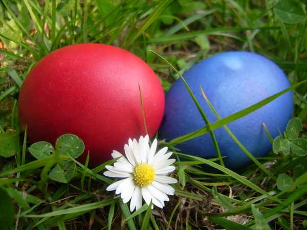 Ostereier im Gras