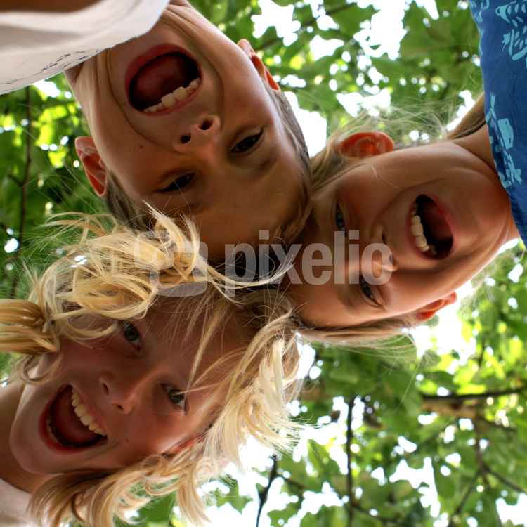 Die Drei - schrei so laut du kannst!