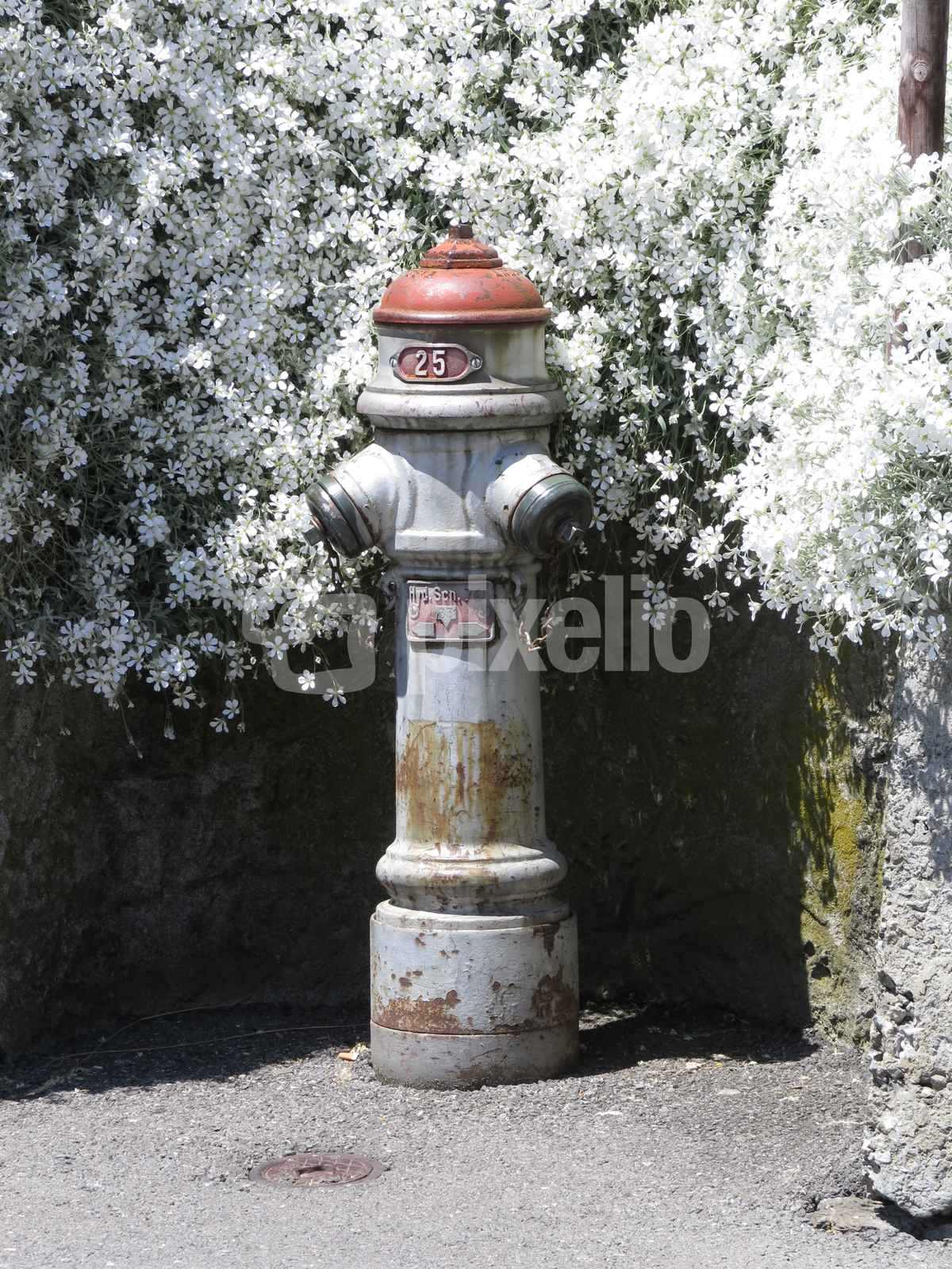 Hydrant