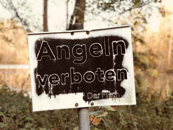 Schild: Angeln verboten. Der Fisch. / Foto: Alexander Hauk