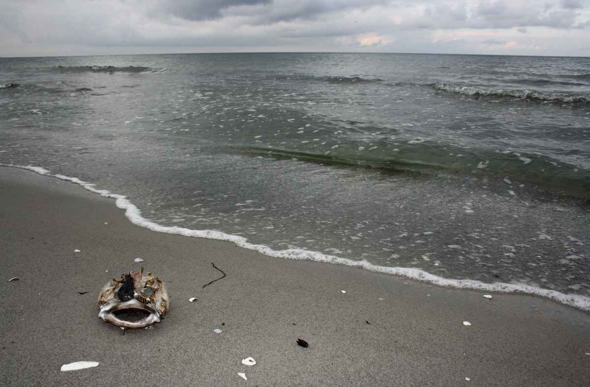 Strandgut 2