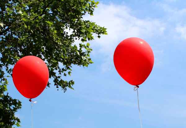 ROTES DUO