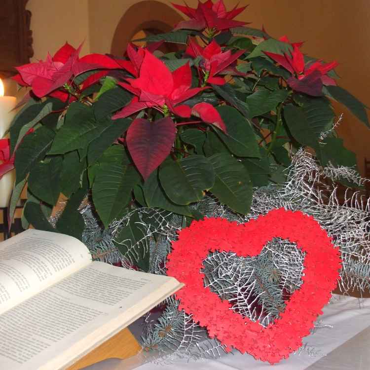 Besinnung zum Fest der Liebe