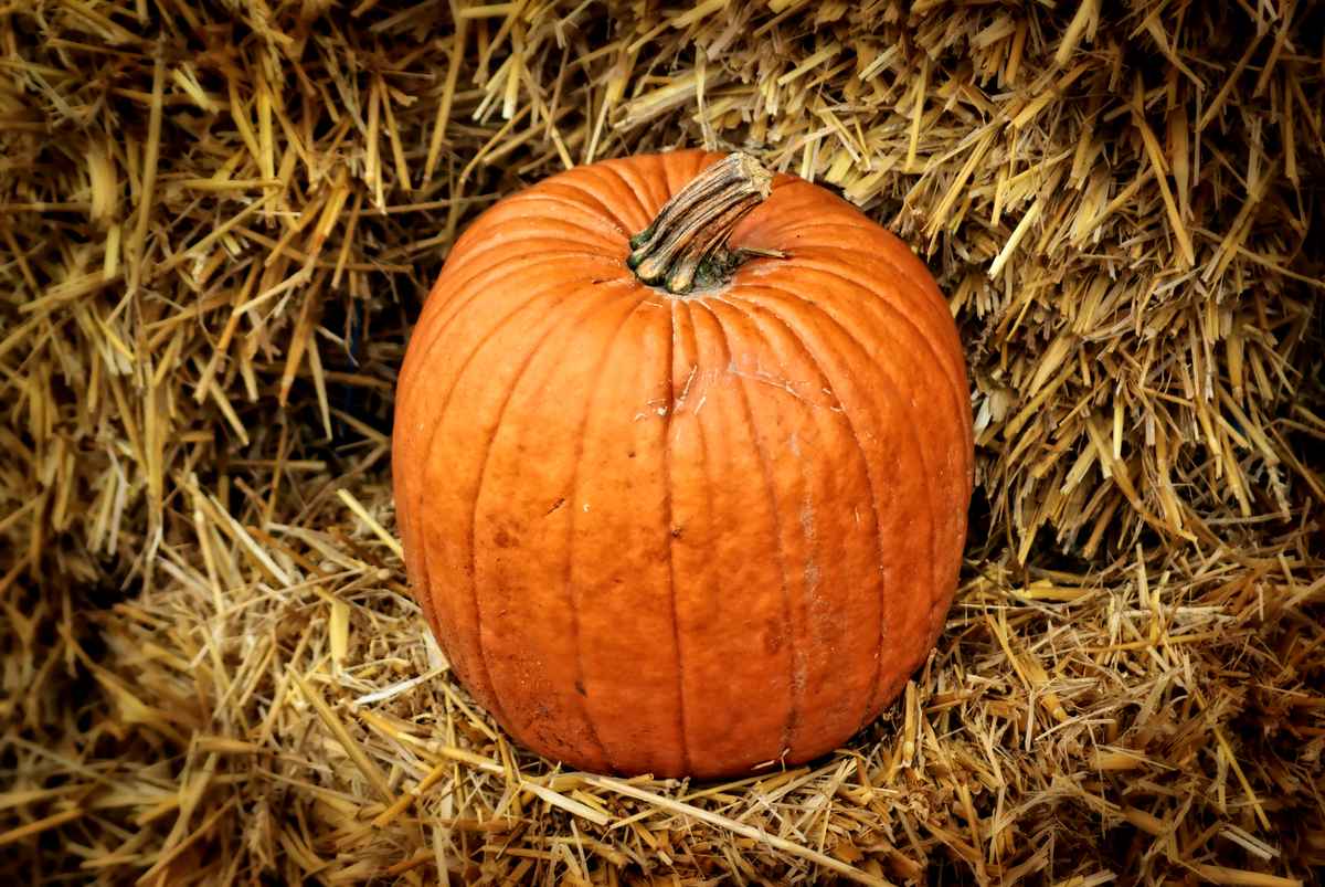 Herbstzeit II