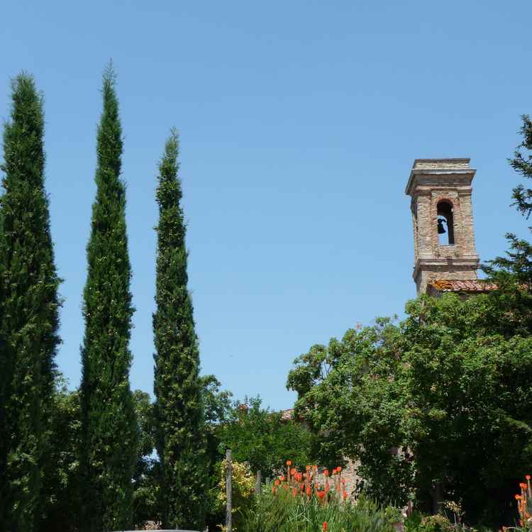 Volpaia