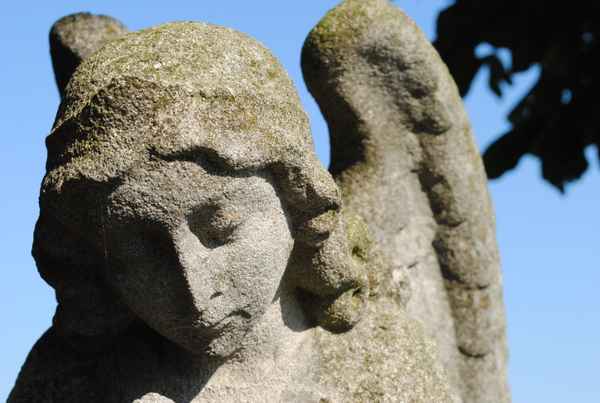 Engel in der Morgensonne