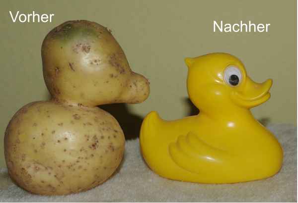 Vorher - Nachher
