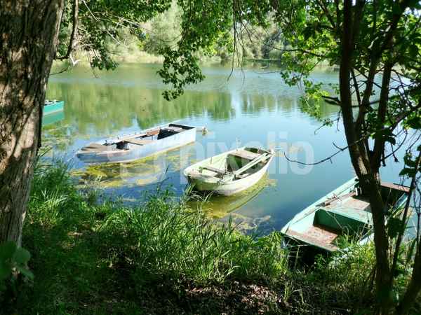 Idylle am See 3 - alte Fischerboote