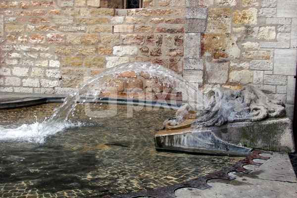 Gotthardbrunnen zu Mainz
