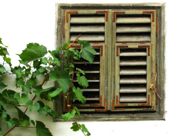 TIROLER FENSTER I