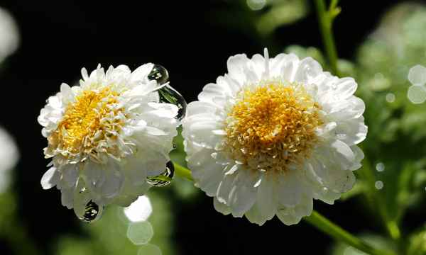 die kleinen mal groß