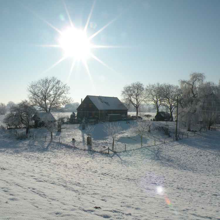 Winterimpressionen 18