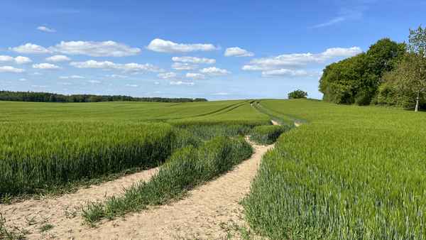 Schleswig-Holsteinische Landschaft