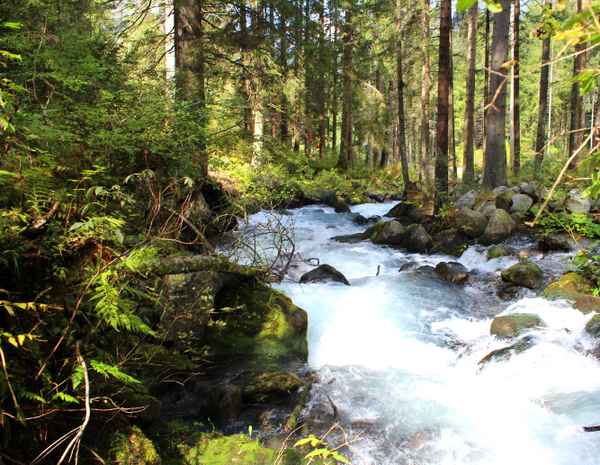 ÜBER STOCK UND STEIN IV