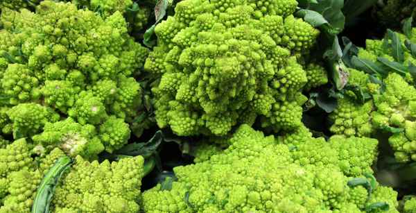 Romanesco