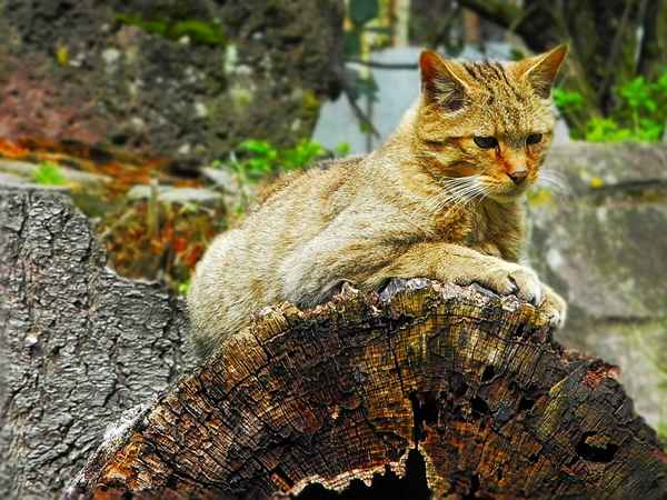 Was bewegt sich denn da?