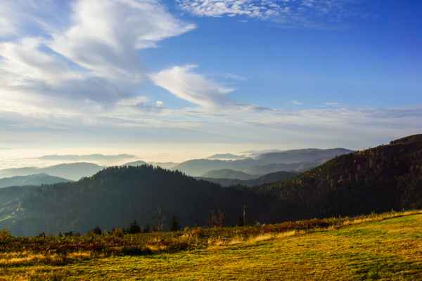 Schwarzwald - goldener Herbst