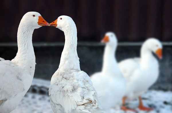 Wir und die anderen