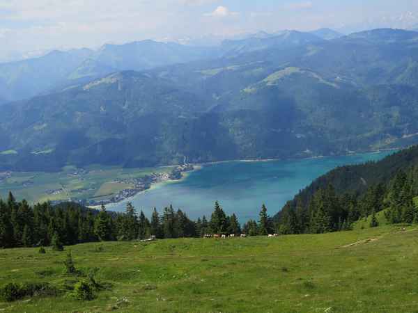 Während Bergfahrt zum Schafberg / 2