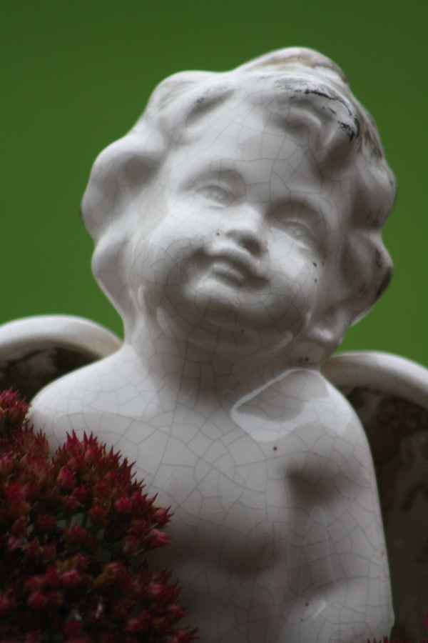 Engel