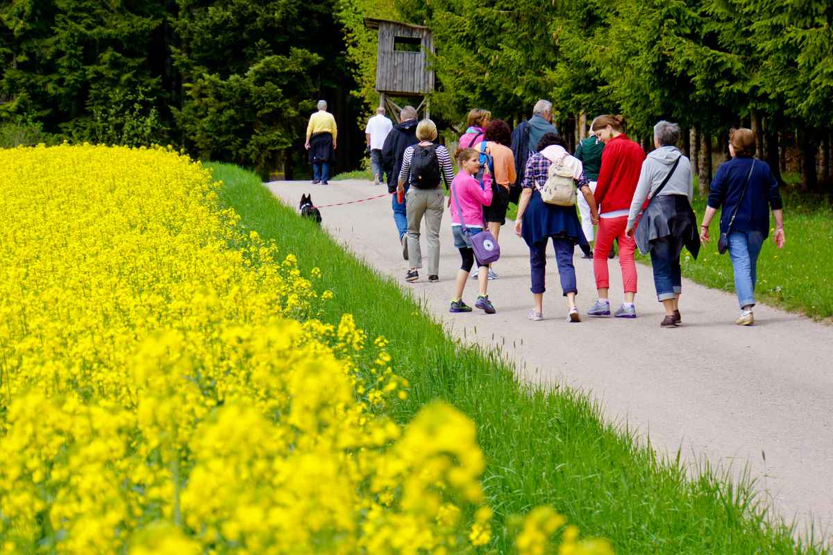 Maiwandergruppe