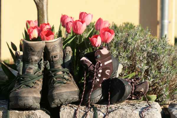 Wanderschuhe
