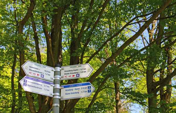 Das Ziel ist bereits gewählt