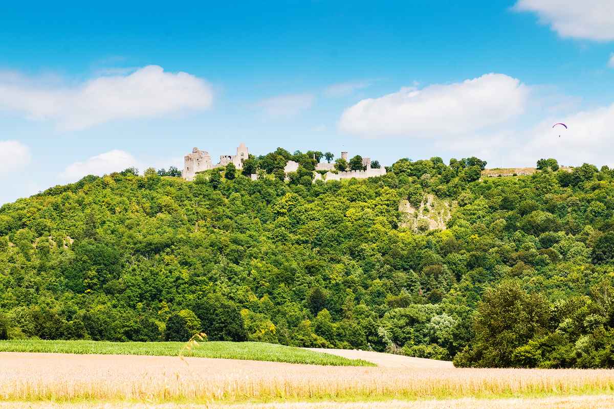 Sommerlandschaft