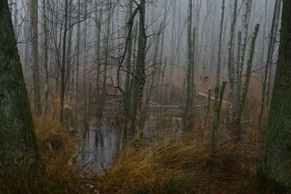Nebel im Moor - filmreifes Set