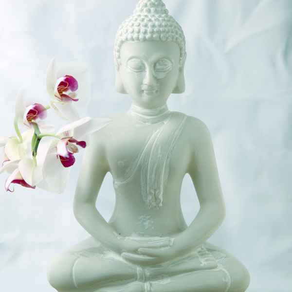buddha mit Orchidee