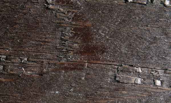 braune Holzmaserung - Makroaufnahme