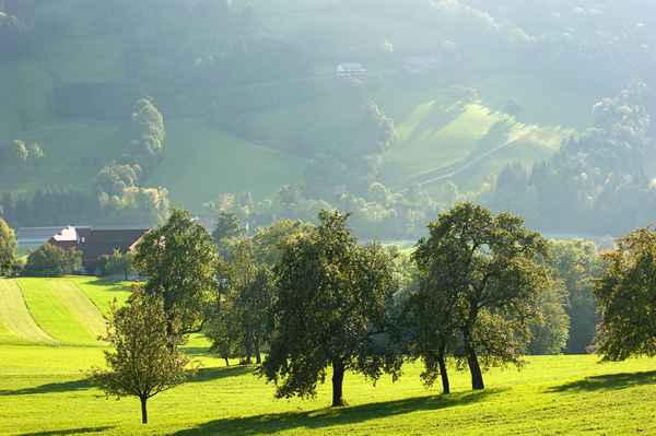 Herbstlich