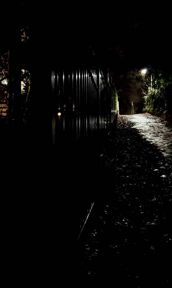 D&uuml;sterer Weg - Krimi Stimmung