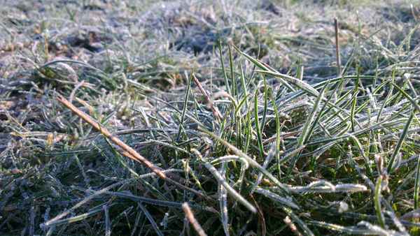 Frost