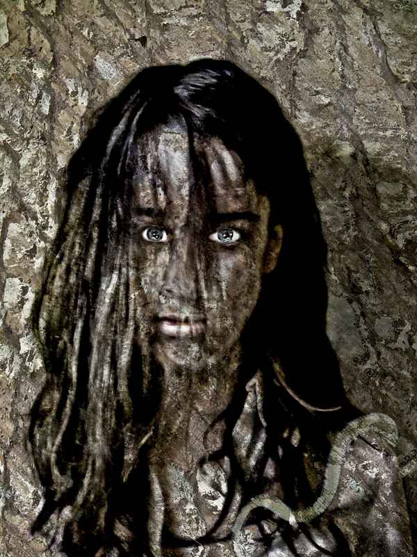 silent voice of nature