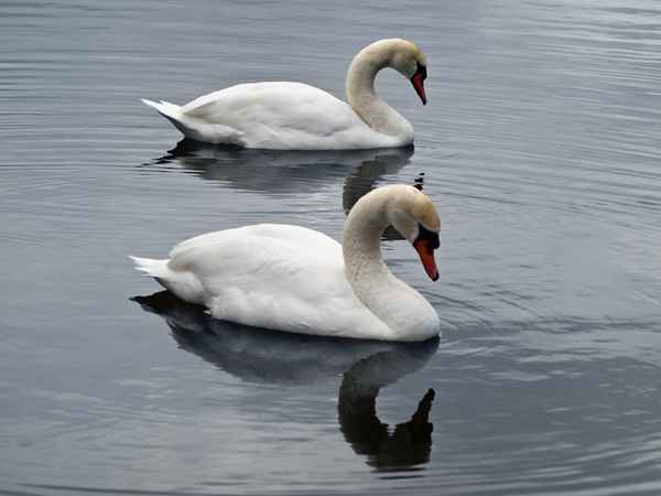 siesta - oder einfach nur müde